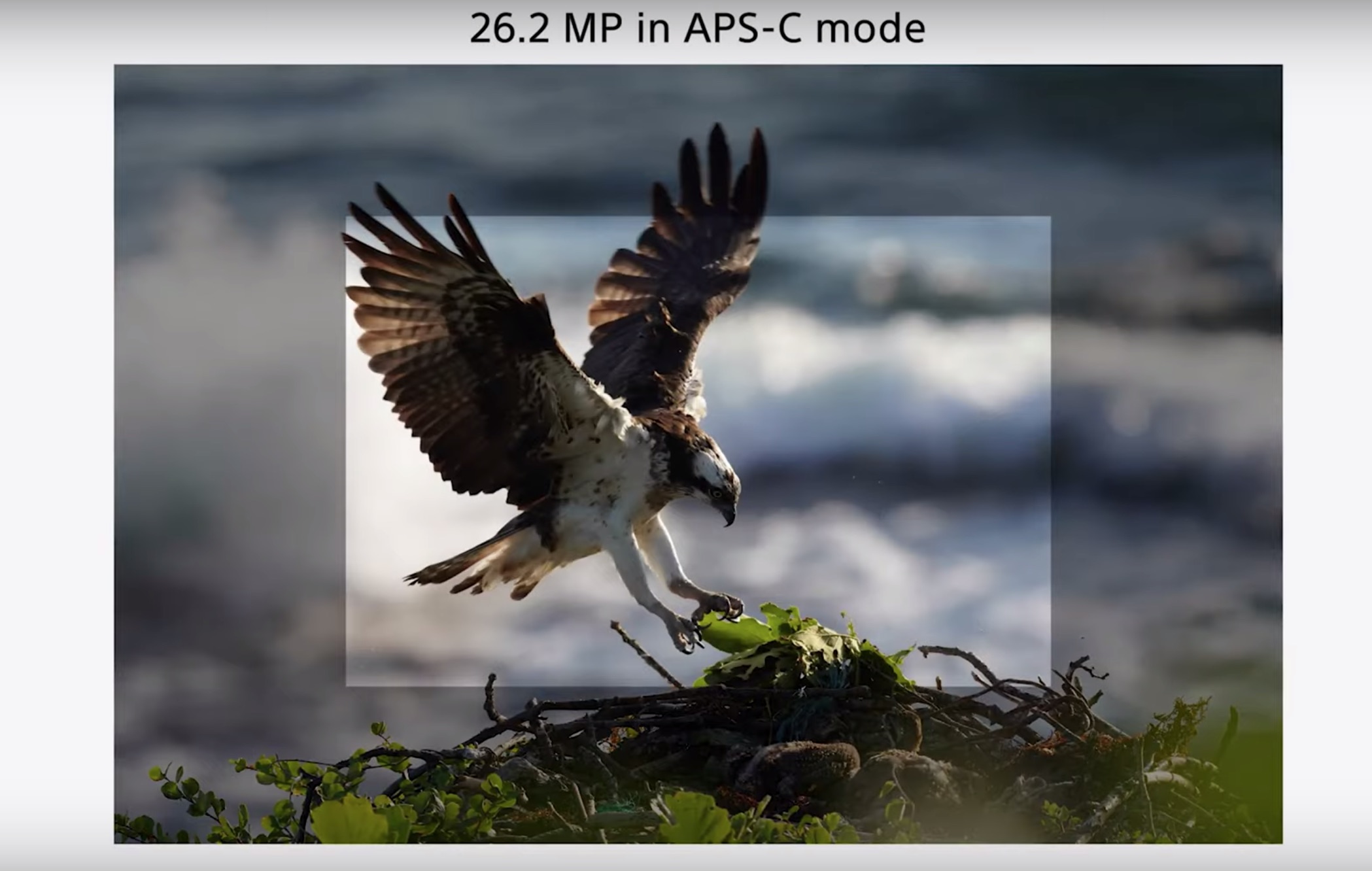 sony a7r iv modo apsc