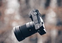 Cuatro consejos para elegir la mejor cámara mirrorless para aficionados a la fotografía